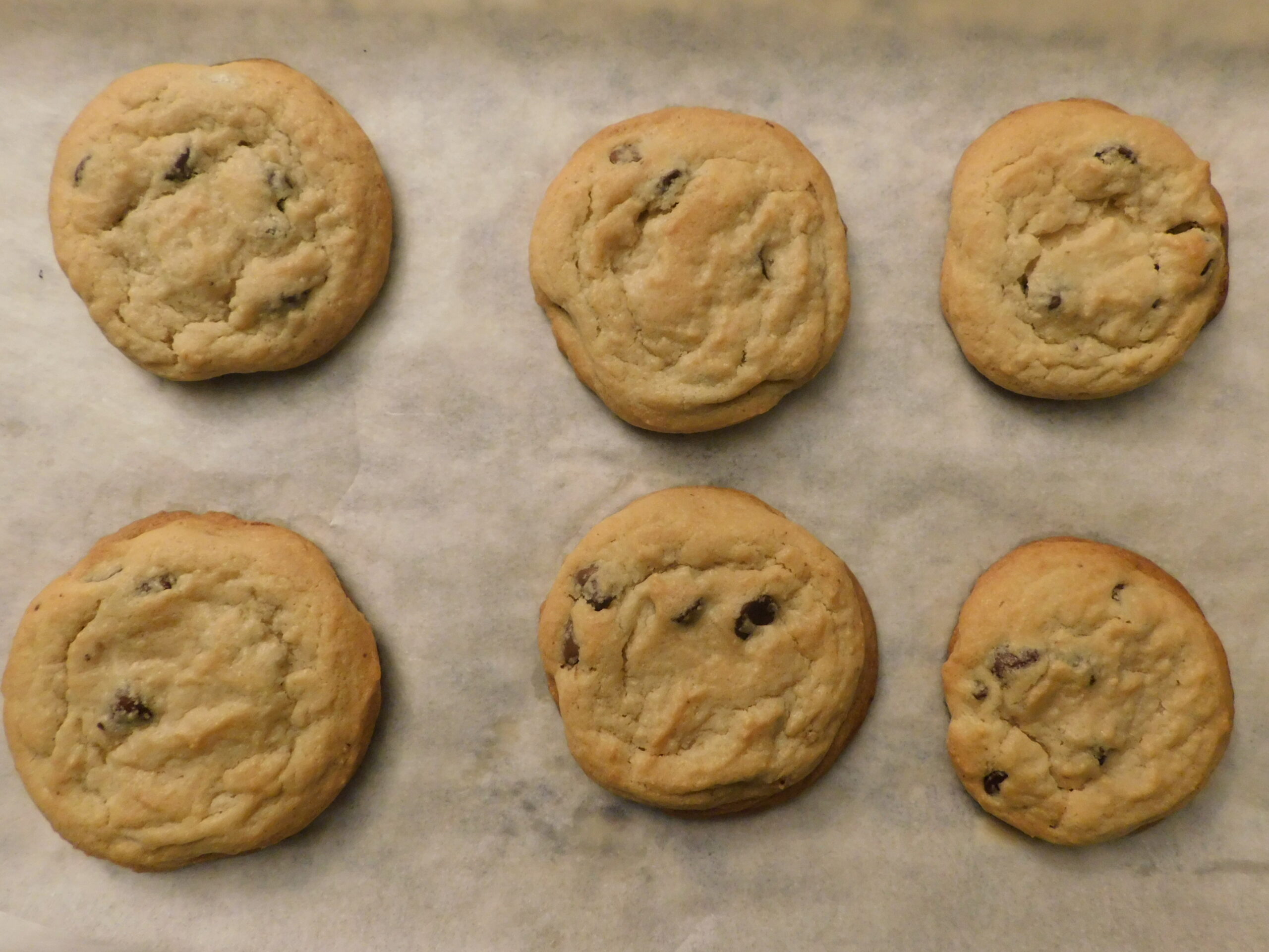 Chocolate Chip Cookies