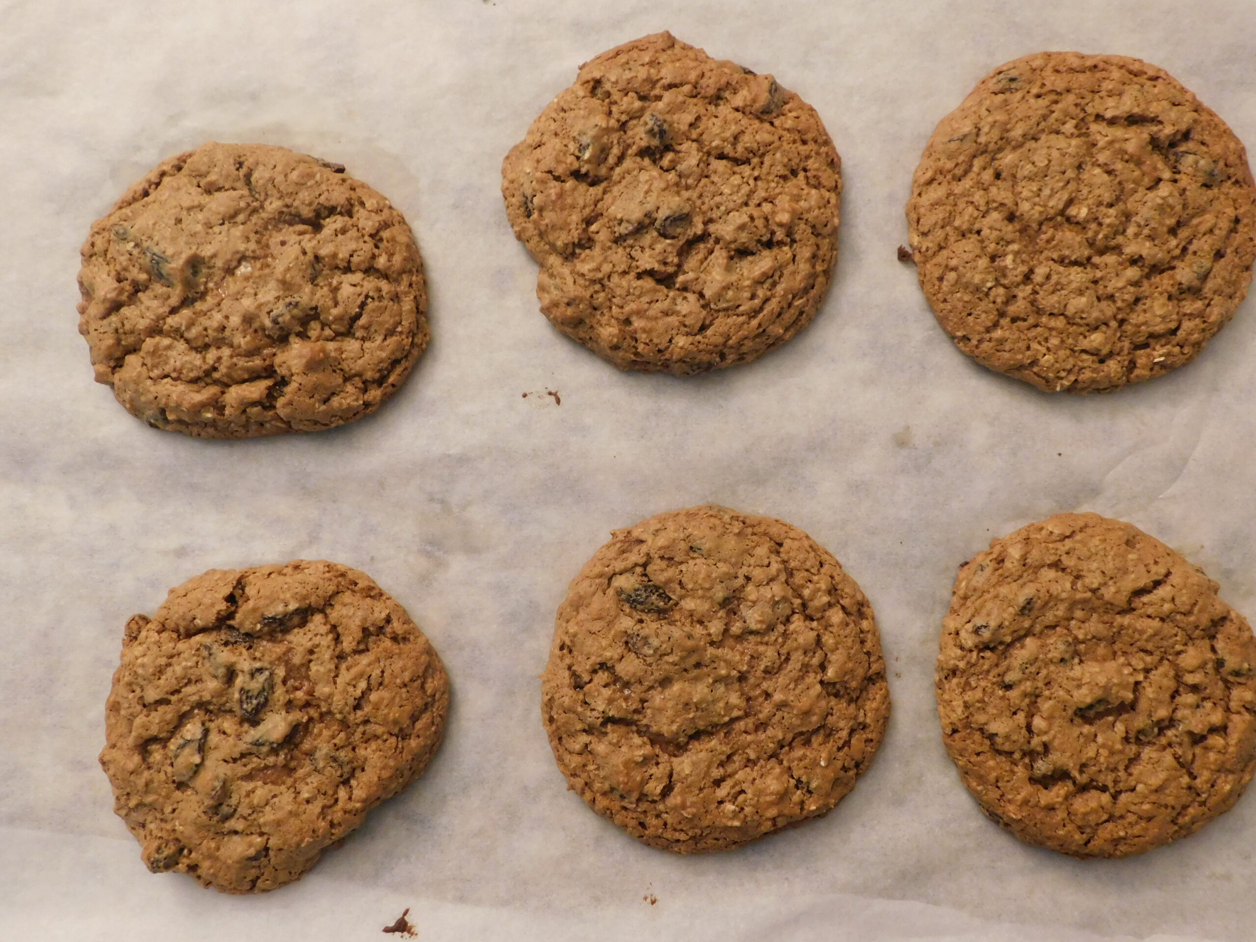 Oatmeal Raisin Cookies